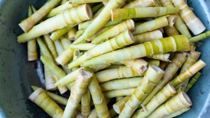 Nutrition facts bamboo shoots