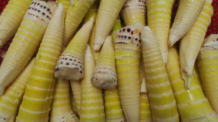 Nutrition Facts Bamboo Shoots A Delicious Dive