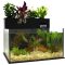 Can You Water Plants With Fish Tank Water?