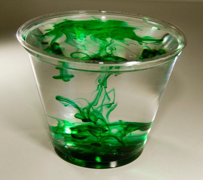 Can you put food coloring in plant water