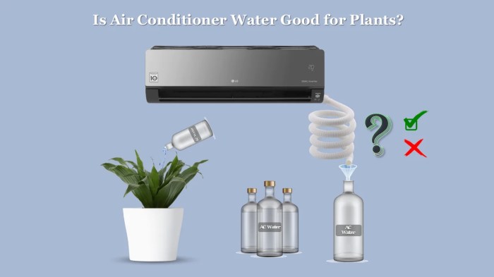 Can you use ac condensation water plants