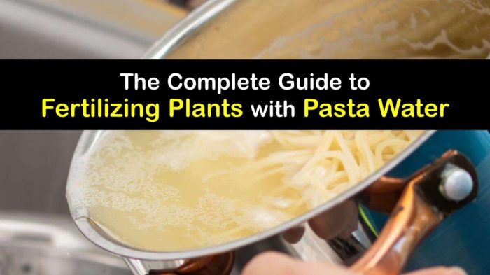 Can you use pasta water for plants