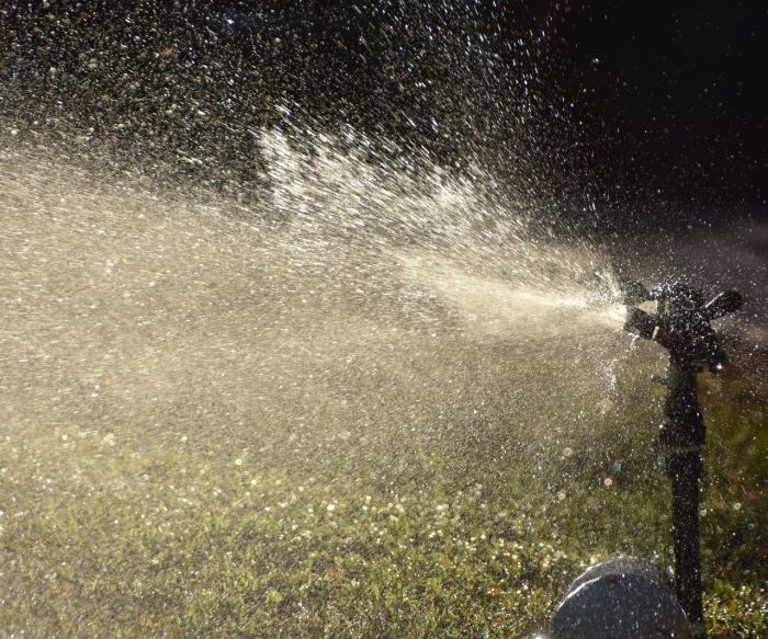 Can you water plants at night in winter