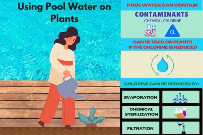 Chlorine chloramine chlorinated gardenmyths