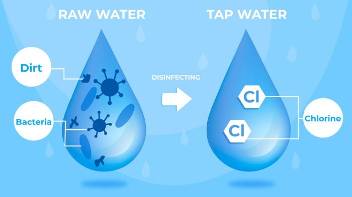 Can you use chlorinated water on plants