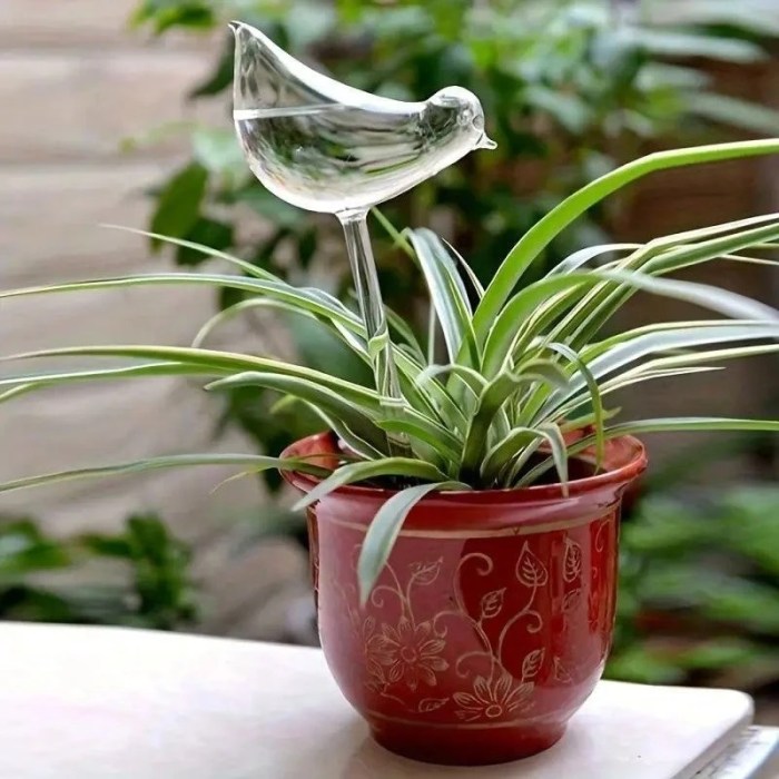 Can you use dish water for plants