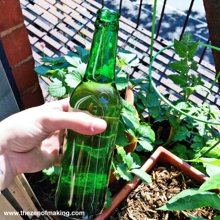 Beer globe watering houseplants