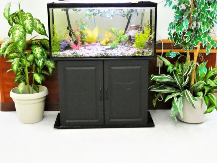 Can you use aquarium water for plants