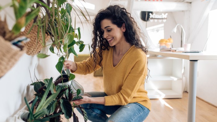 Can you use shower water for plants