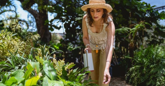 Can you water plants with dirty water